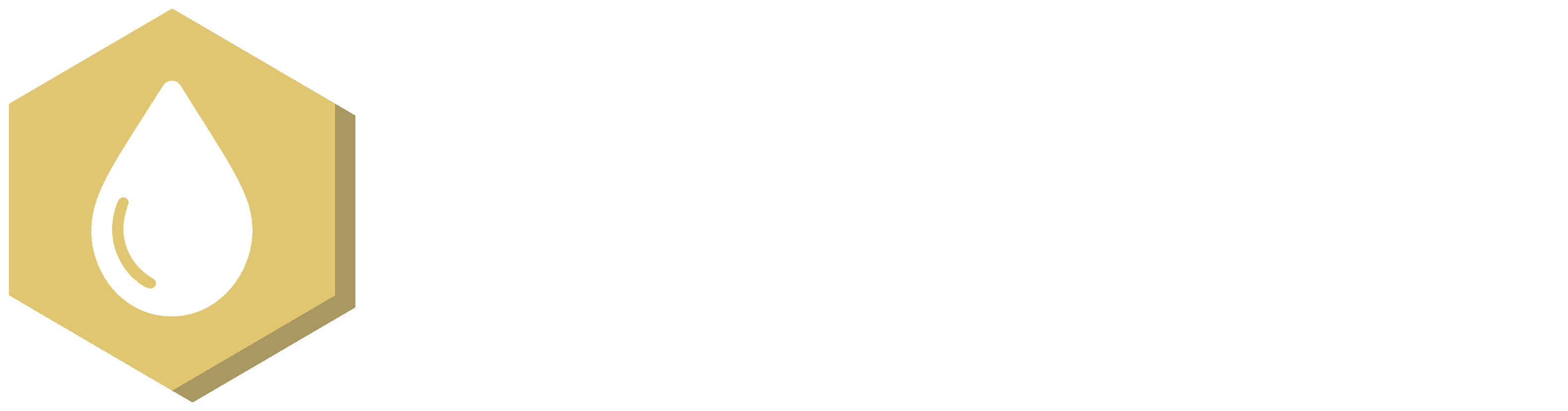 오일나라